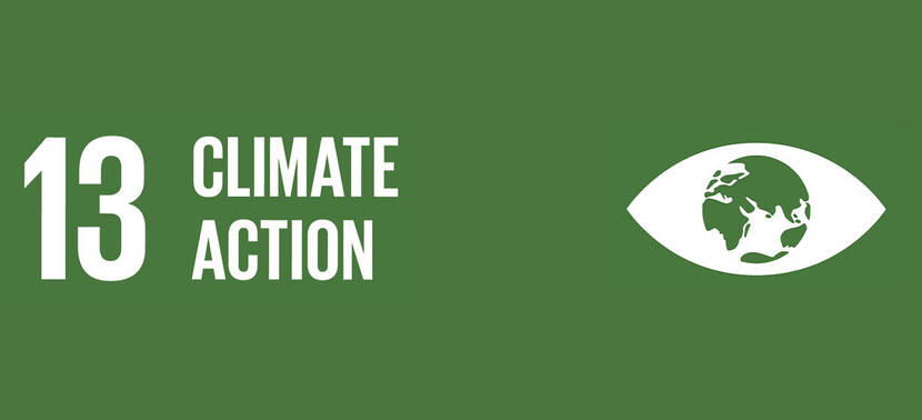 Climate Action SDG 13 label