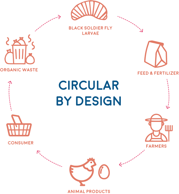 ProTeen circular