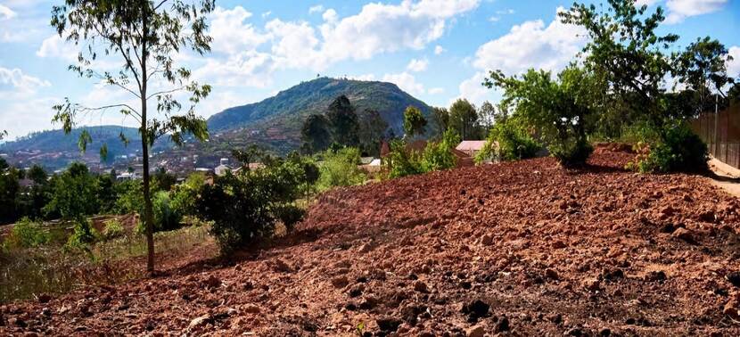 Plantation site of Qimpexx factory on Madagascar